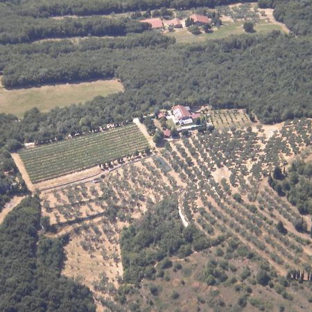 B&B Ca' Morino Verona Eksteriør billede