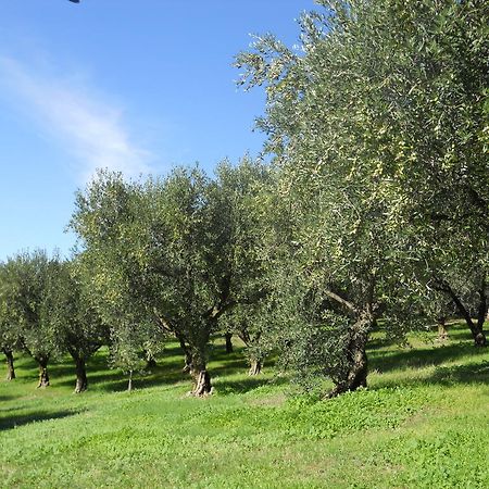 B&B Ca' Morino Verona Eksteriør billede