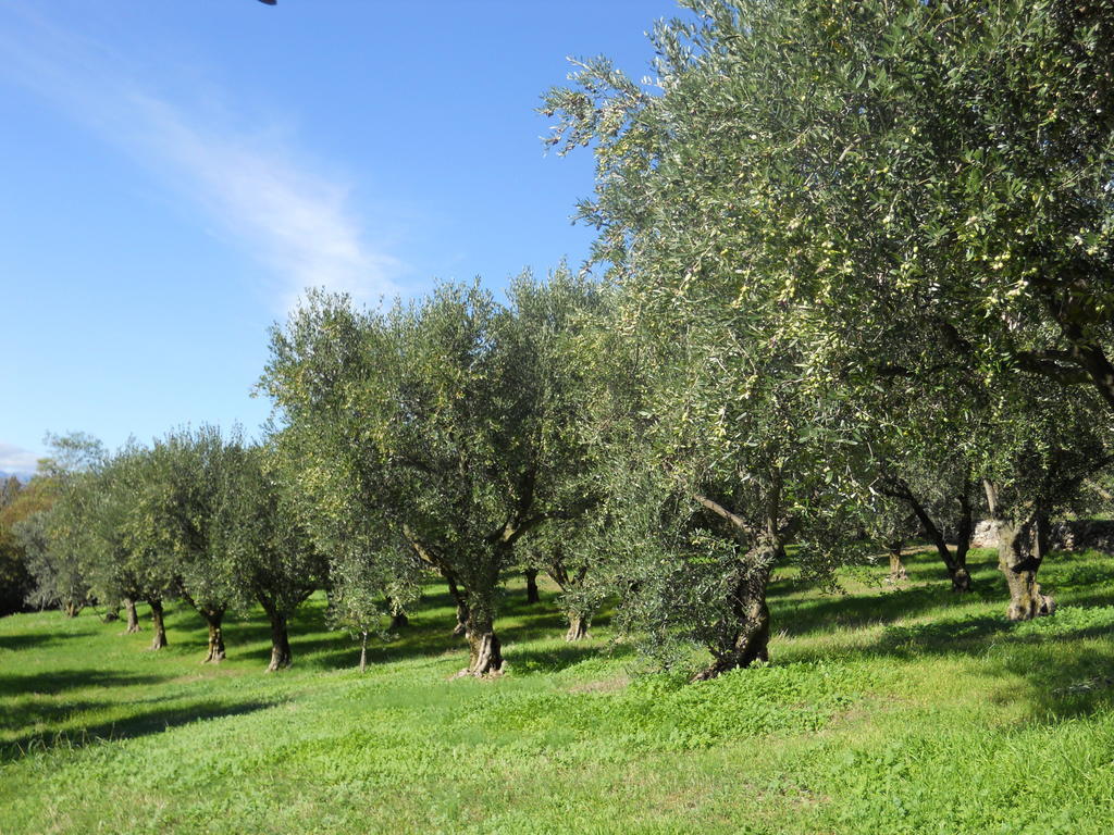 B&B Ca' Morino Verona Eksteriør billede
