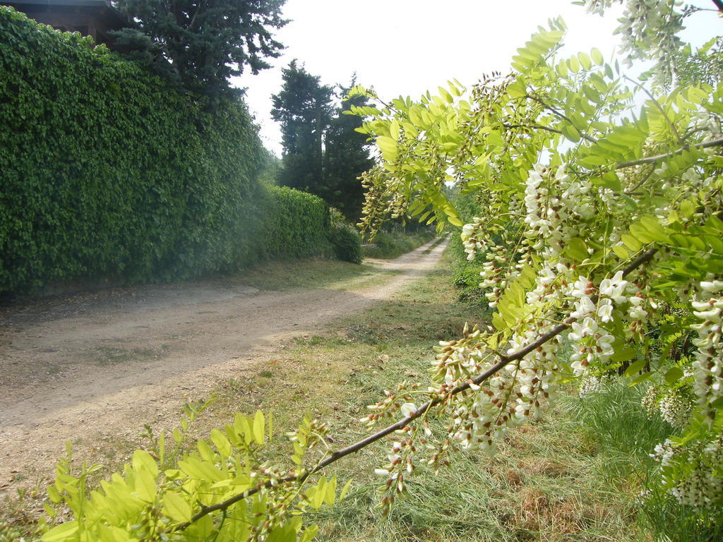 B&B Ca' Morino Verona Eksteriør billede